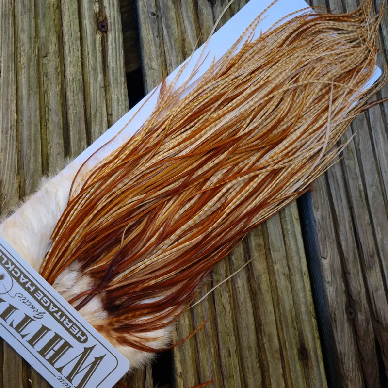 Whiting Heritage Hackles Rooster Saddle in Mixed Colours C Barred Medium Ginger/Medium Ginger/Dark Ginger Tying Approx 12/14/16/18-7