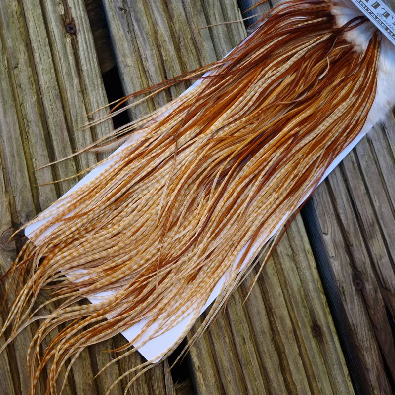 Whiting Heritage Hackles Rooster Saddle in Mixed Colours C Barred Medium Ginger/Medium Ginger/Dark Ginger Tying Approx 12/14/16/18-8