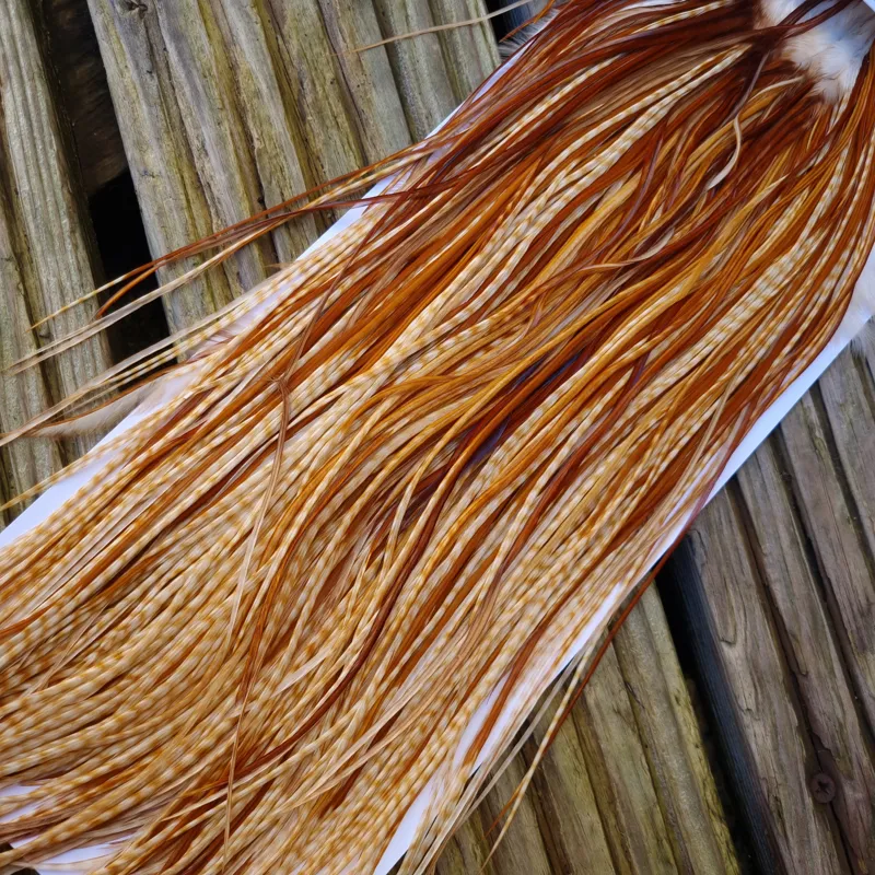Whiting Heritage Hackles Rooster Saddle in Mixed Colours C Barred Medium Ginger/Medium Ginger/Dark Ginger Tying Approx 12/14/16/18-6