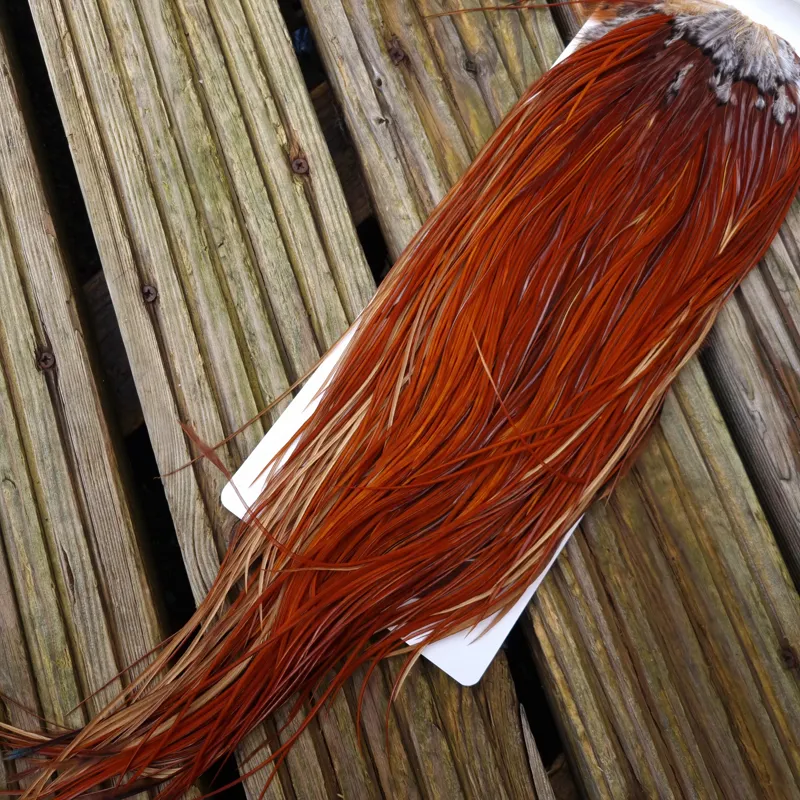 Whiting Heritage Hackles Rooster Saddle in Mixed Colours C Medium to Dark Red Game Tying Approx 10/12/14-1