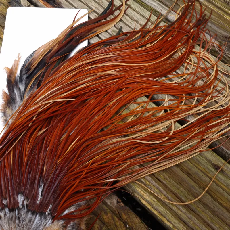 Whiting Heritage Hackles Rooster Saddle in Mixed Colours C Medium to Dark Red Game Tying Approx 10/12/14-4