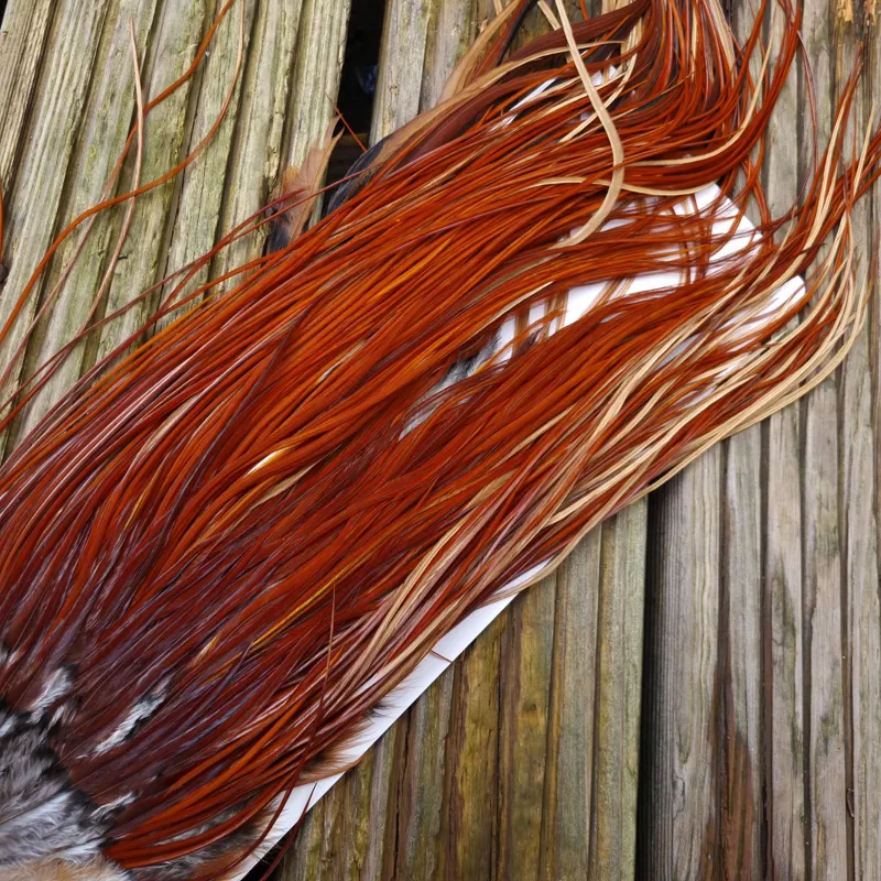 Whiting Heritage Hackles Rooster Saddle in Mixed Colours C Medium to Dark Red Game Tying Approx 10/12/14-5