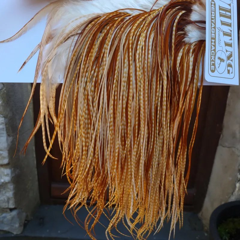 Whiting Heritage Hackles Rooster Saddle in Mixed Colours C Barred Medium Ginger/Medium Ginger/Dark Ginger Tying Approx 12/14/16/18-4