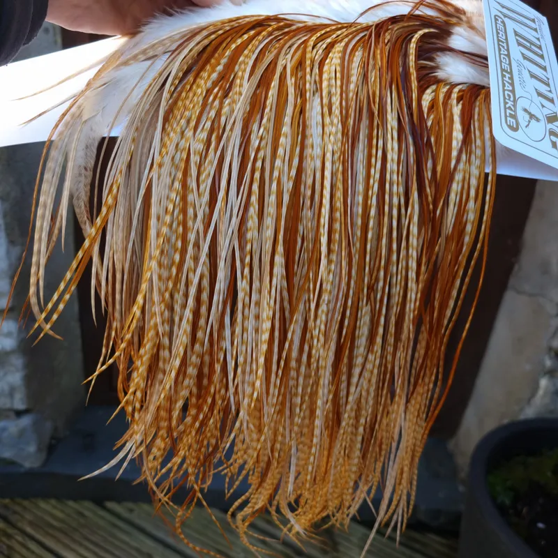 Whiting Heritage Hackles Rooster Saddle in Mixed Colours C Barred Medium Ginger/Medium Ginger/Dark Ginger Tying Approx 12/14/16/18