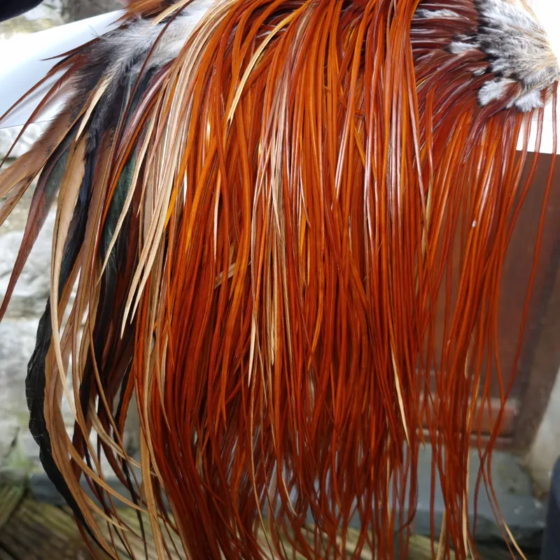 Whiting Heritage Hackles Rooster Saddle in Mixed Colours C Medium to Dark Red Game Tying Approx 10/12/14-2