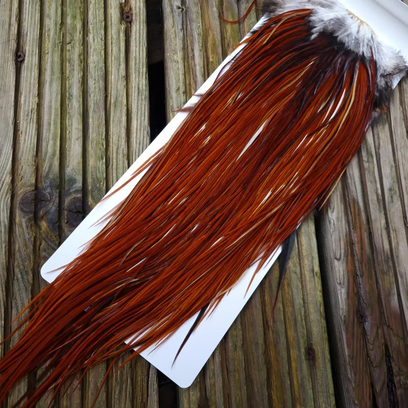 Whiting Heritage Hackles Rooster Saddle in Mixed Colours F Medium to Dark Red Game Splashed with PURE WHITE FLECKS  Tying Approx 10/12/14-4