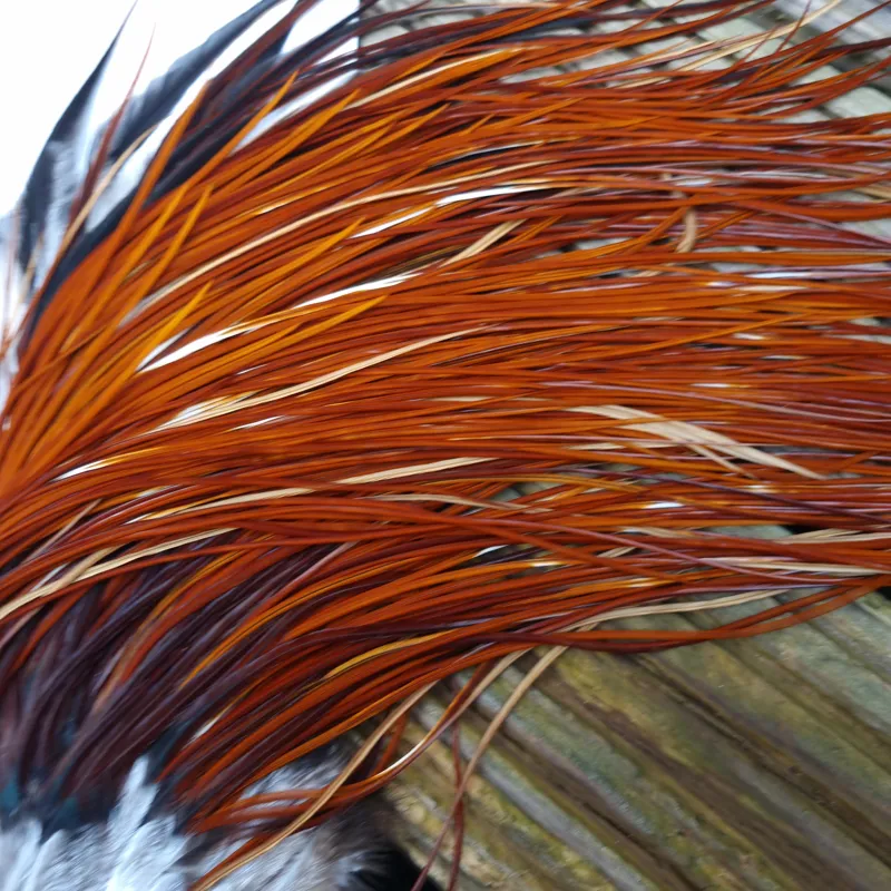 Whiting Heritage Hackles Rooster Saddle in Mixed Colours F Medium to Dark Red Game Splashed with PURE WHITE FLECKS  Tying Approx 10/12/14-6