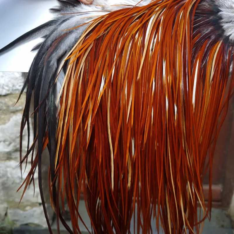 Whiting Heritage Hackles Rooster Saddle in Mixed Colours F Medium to Dark Red Game Splashed with PURE WHITE FLECKS  Tying Approx 10/12/14