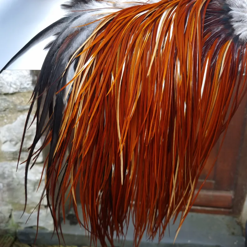 Whiting Heritage Hackles Rooster Saddle in Mixed Colours F Medium to Dark Red Game Splashed with PURE WHITE FLECKS  Tying Approx 10/12/14-8