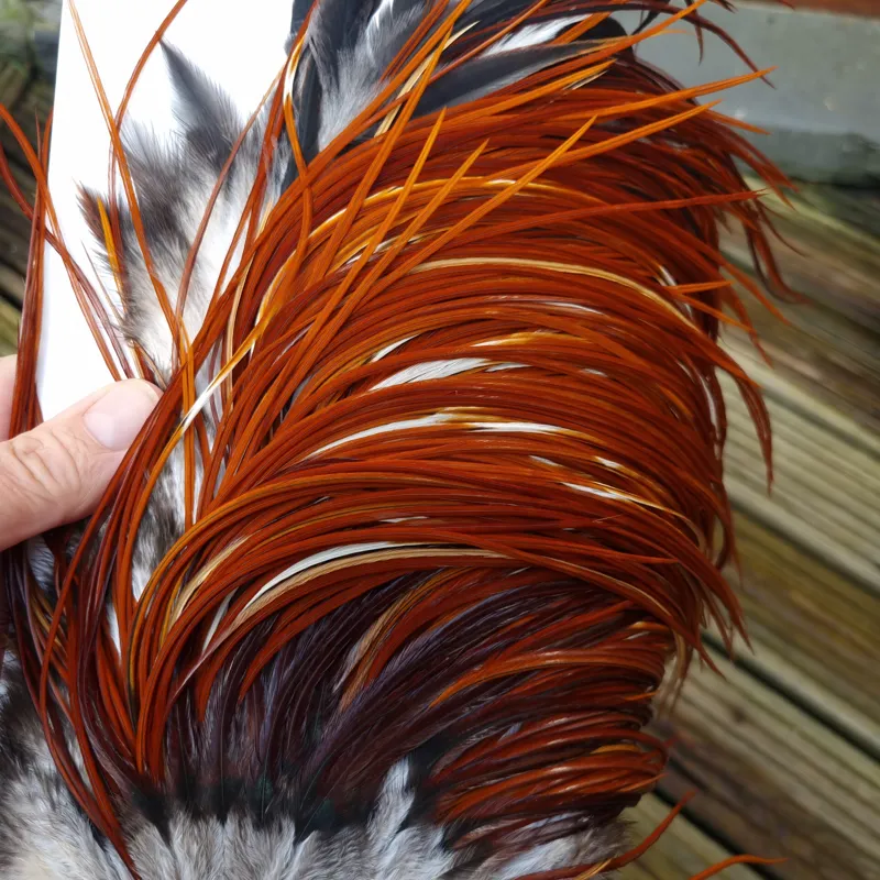 Whiting Heritage Hackles Rooster Saddle in Mixed Colours F Medium to Dark Red Game Splashed with PURE WHITE FLECKS  Tying Approx 10/12/14-2