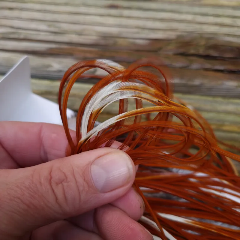 Whiting Heritage Hackles Rooster Saddle in Mixed Colours F Medium to Dark Red Game Splashed with PURE WHITE FLECKS  Tying Approx 10/12/14-1