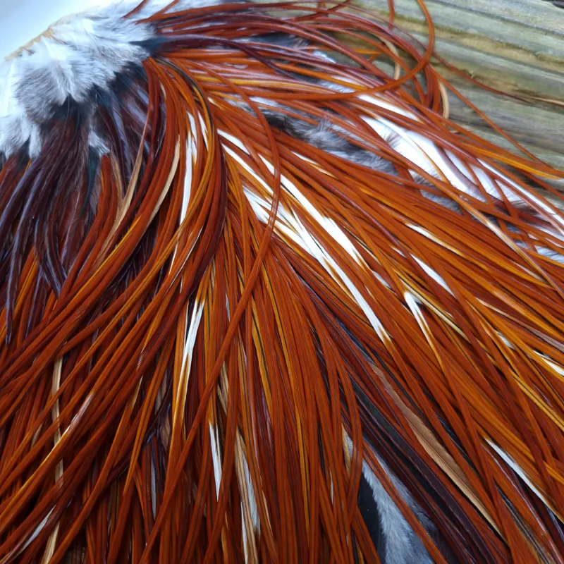 Whiting Heritage Hackles Rooster Saddle in Mixed Colours F Medium to Dark Red Game Splashed with PURE WHITE FLECKS  Tying Approx 10/12/14-3