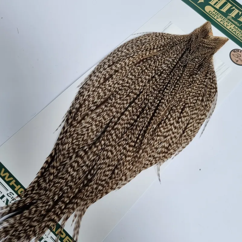 Hebert Bronze でっかい Cape ミディアムブラウンダン