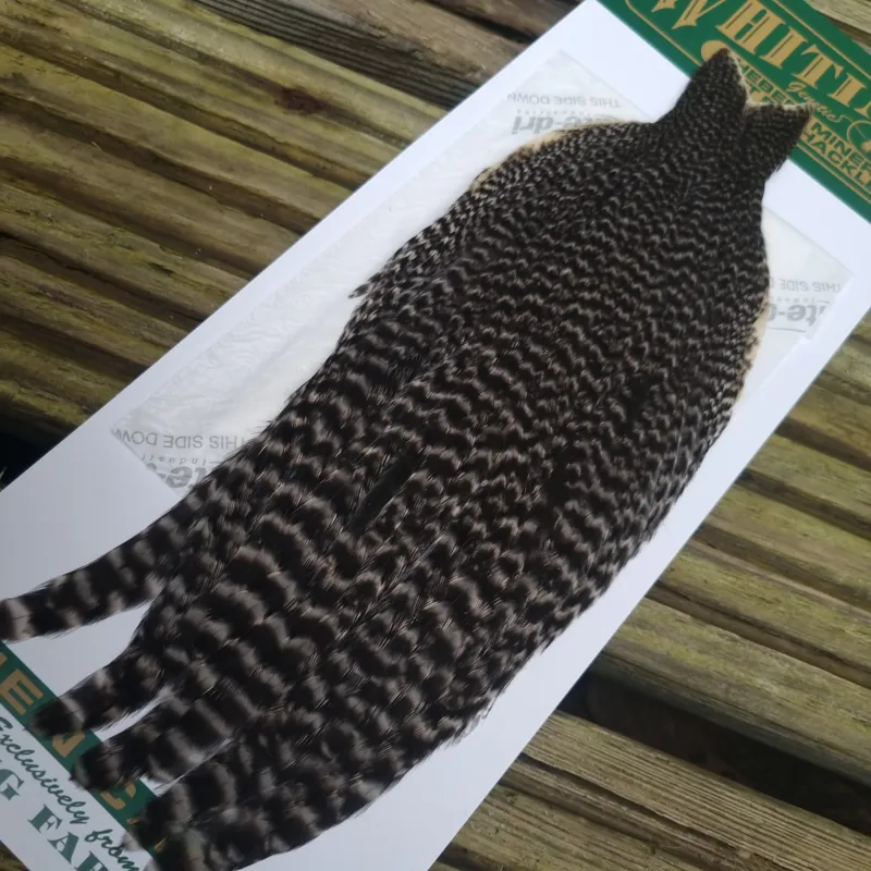 Whiting Hebert Miner Hen Cape in Grizzly C