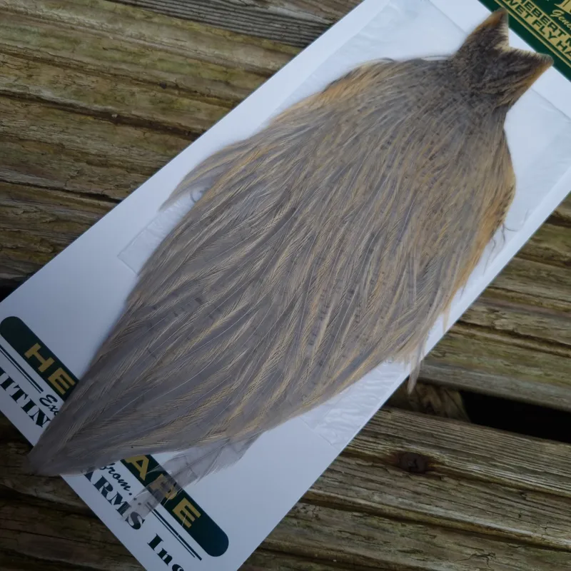 Whiting Hebert Miner Hen Cape in Light Gray Dun-1