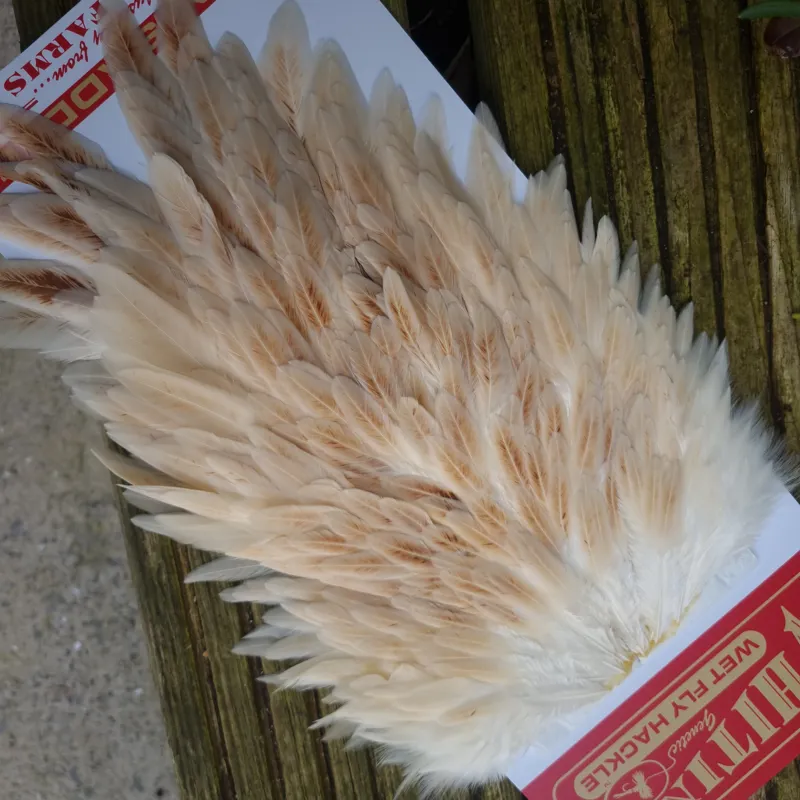 Whiting Hen Saddle in Light Ginger-2