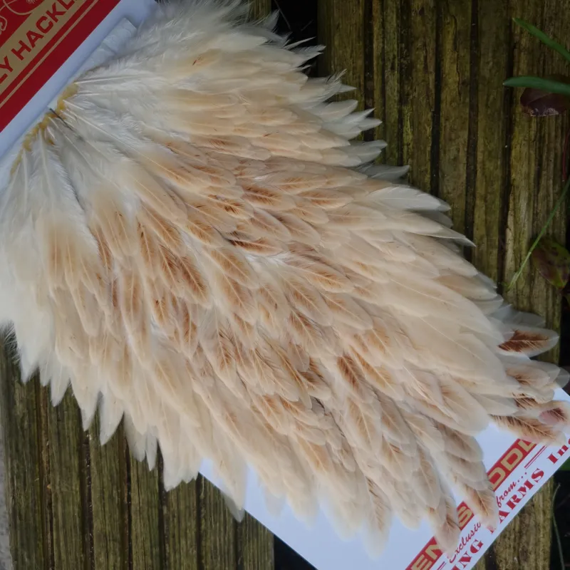 Whiting Hen Saddle in Light Ginger-4