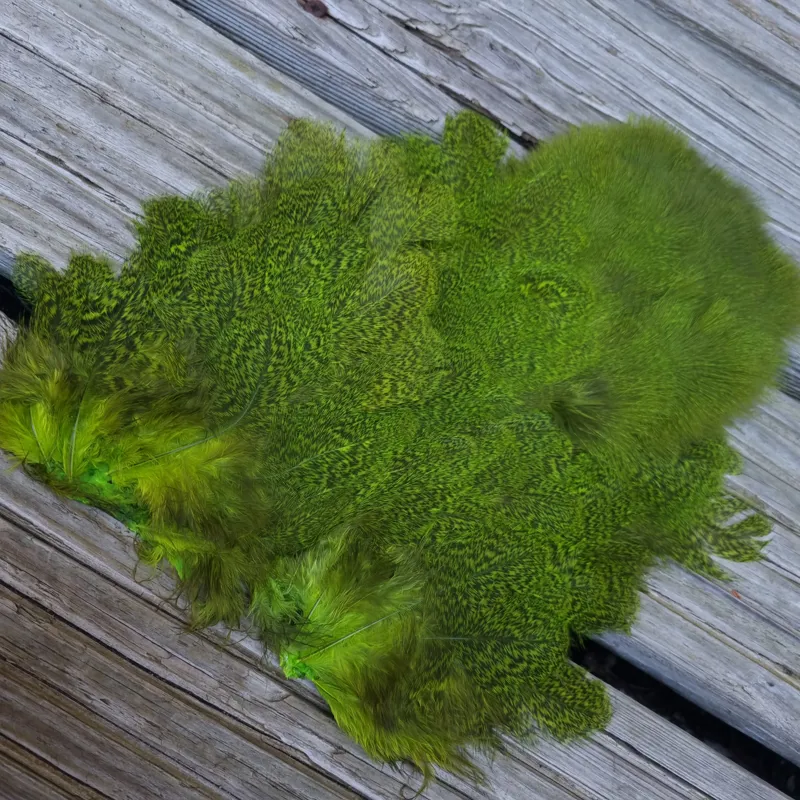 Whiting Coq de Leon Hen Soft Hackle with Chickabou in Speckled Fl.Green Chartreuse-2