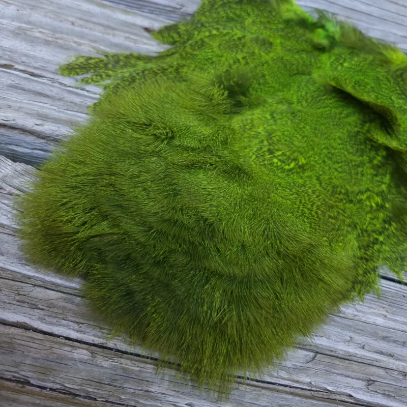 Whiting Coq de Leon Hen Soft Hackle with Chickabou in Speckled Fl.Green Chartreuse-3