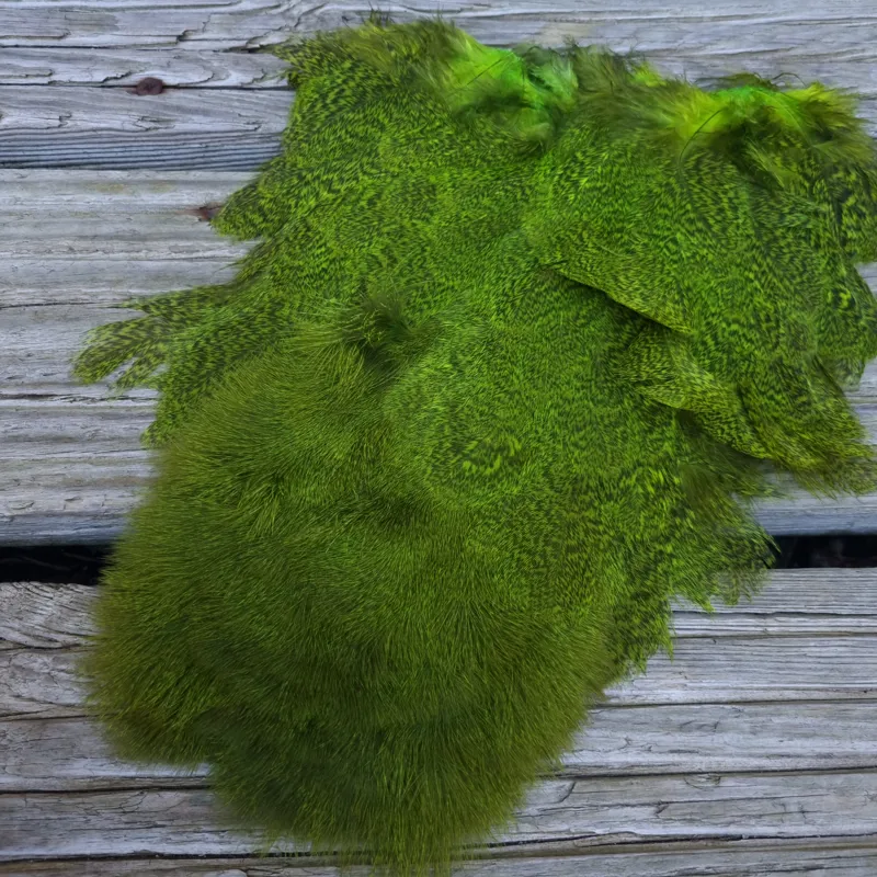 Whiting Coq de Leon Hen Soft Hackle with Chickabou in Speckled Fl.Green Chartreuse-4