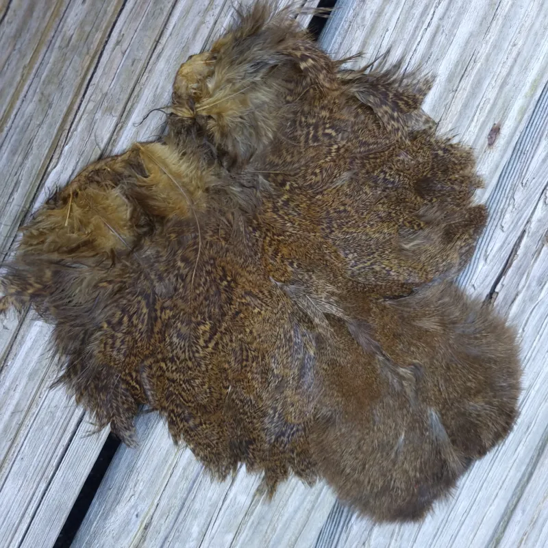 Whiting Coq de Leon Hen Soft Hackle with Chickabou in Speckled Golden Olive