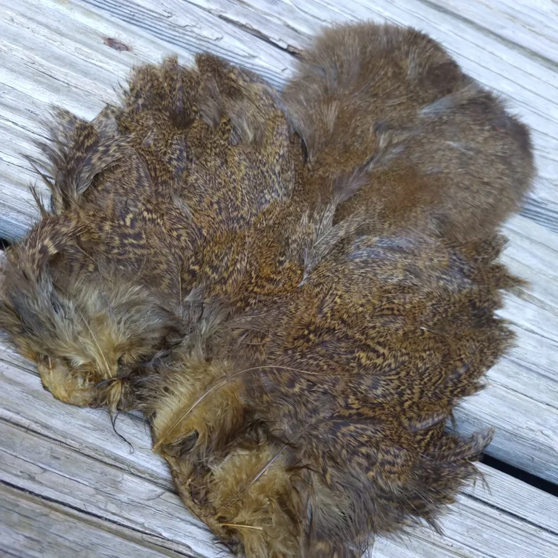 Whiting Coq de Leon Hen Soft Hackle with Chickabou in Speckled Golden Olive-2