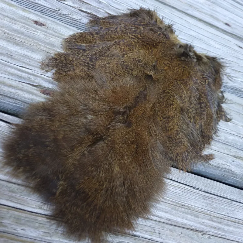 Whiting Coq de Leon Hen Soft Hackle with Chickabou in Speckled Golden Olive-1