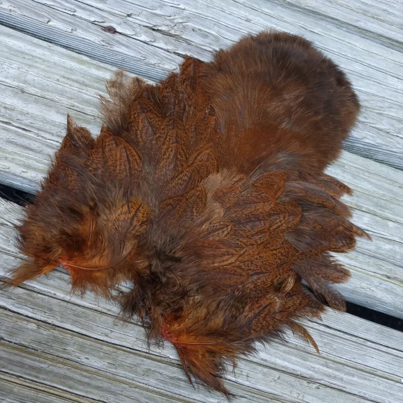 Whiting Coq de Leon Hen Soft Hackle with Chickabou in Speckled Burnt Orange-2