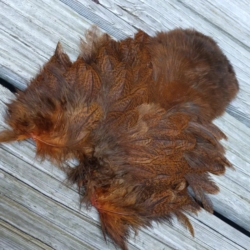 Whiting Coq de Leon Hen Soft Hackle with Chickabou in Speckled Burnt Orange