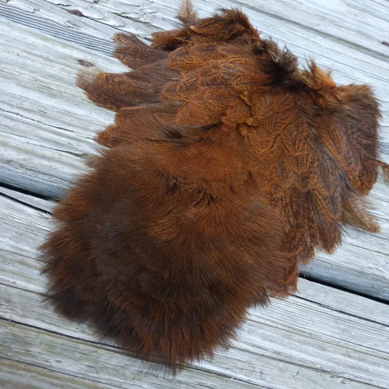 Whiting Coq de Leon Hen Soft Hackle with Chickabou in Speckled Burnt Orange-3