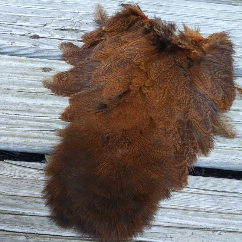 Whiting Coq de Leon Hen Soft Hackle with Chickabou in Speckled Burnt Orange-1