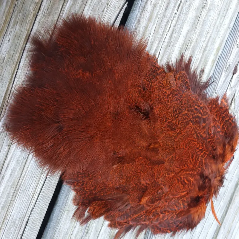 Whiting Coq de Leon Hen Soft Hackle with Chickabou in Speckled Orange-1