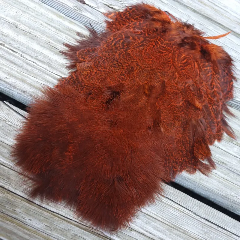 Whiting Coq de Leon Hen Soft Hackle with Chickabou in Speckled Orange-3