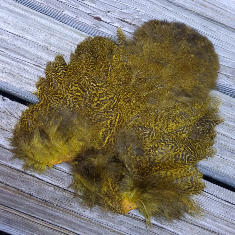 Whiting Coq de Leon Hen Soft Hackle with Chickabou in Speckled Yellow-2