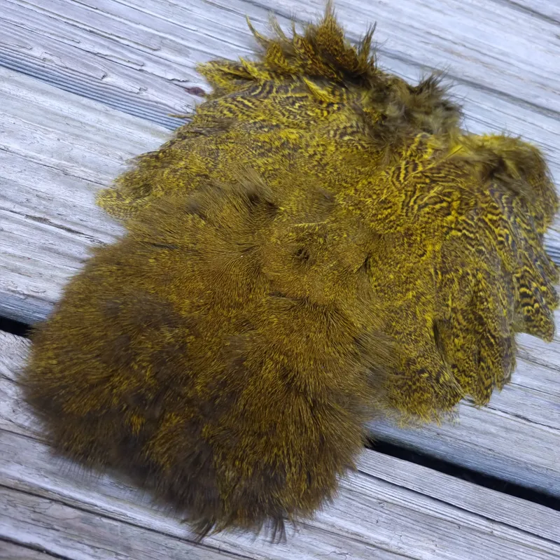 Whiting Coq de Leon Hen Soft Hackle with Chickabou in Speckled Yellow-3