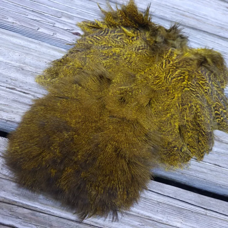 Whiting Coq de Leon Hen Soft Hackle with Chickabou in Speckled Yellow-5