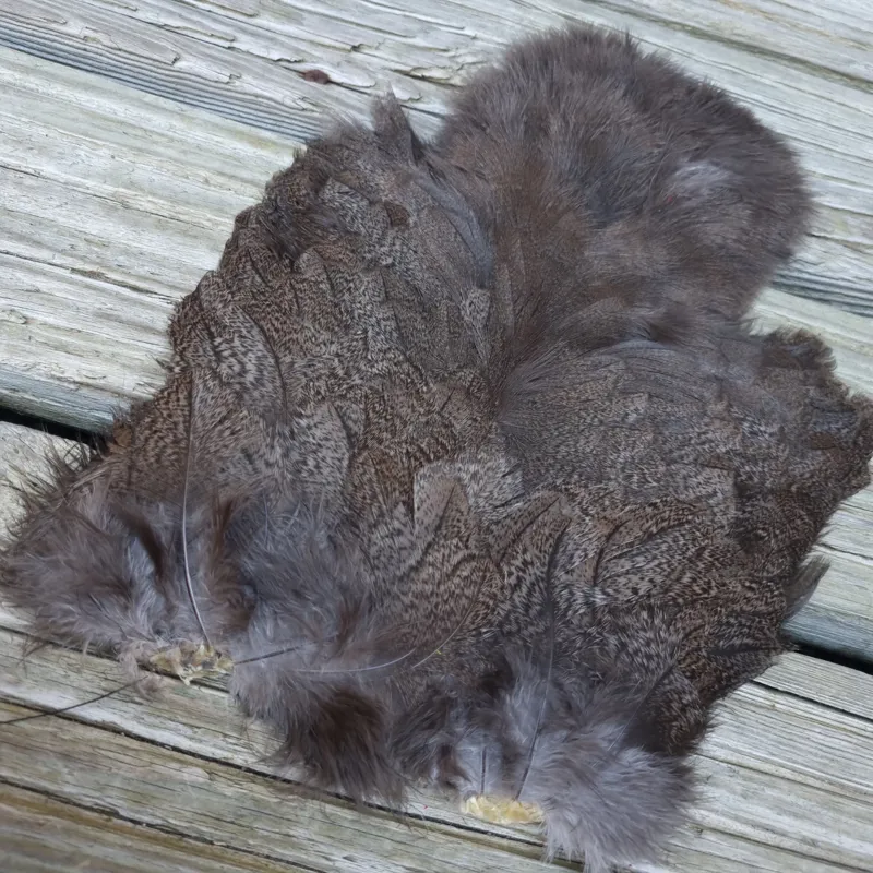 Whiting Coq de Leon Hen Soft Hackle with Chickabou in Natural Brown Speckled