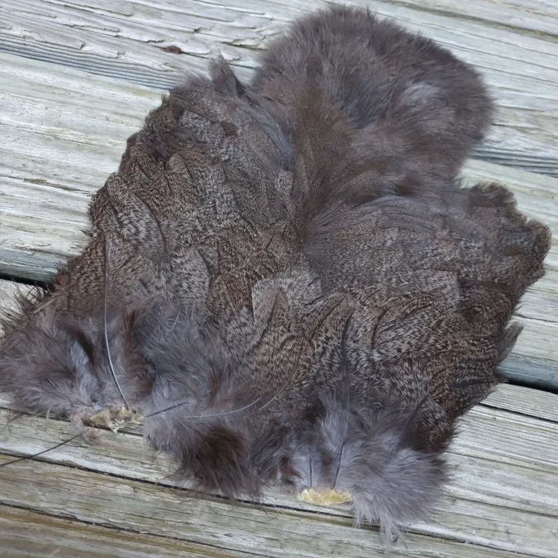 Whiting Coq de Leon Hen Soft Hackle with Chickabou in Natural Brown Speckled-2