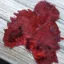 Whiting Coq de Leon Hen Soft Hackle with Chickabou in Speckled Red