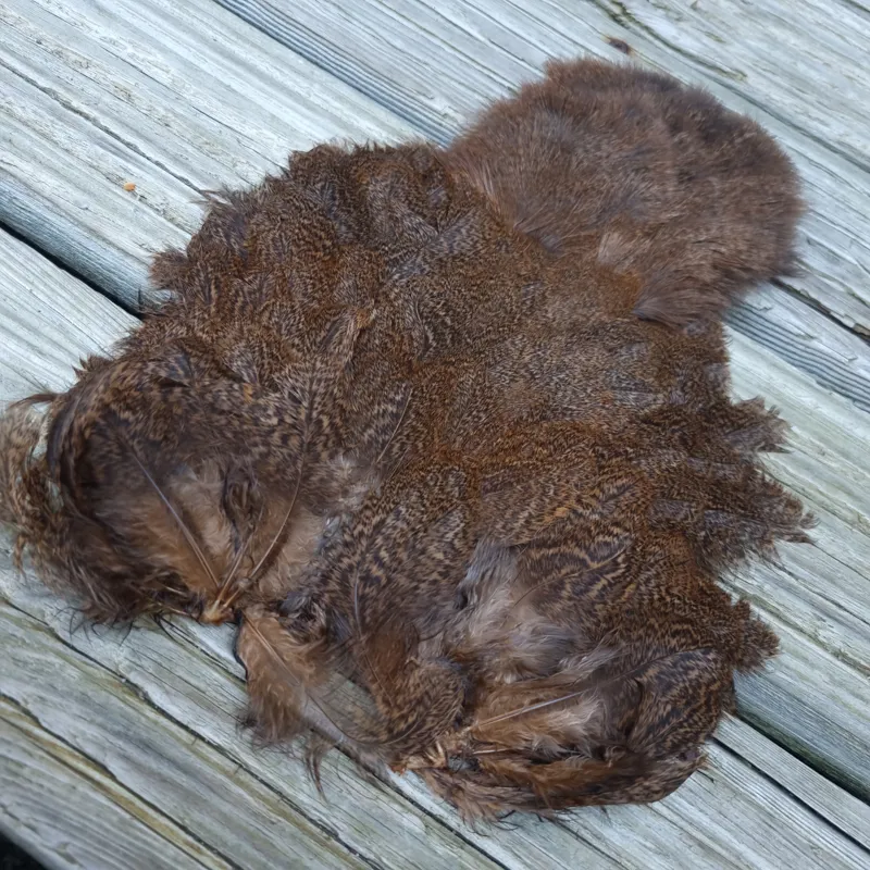 Whiting Coq de Leon Hen Soft Hackle with Chickabou in Speckled Medium Ginger