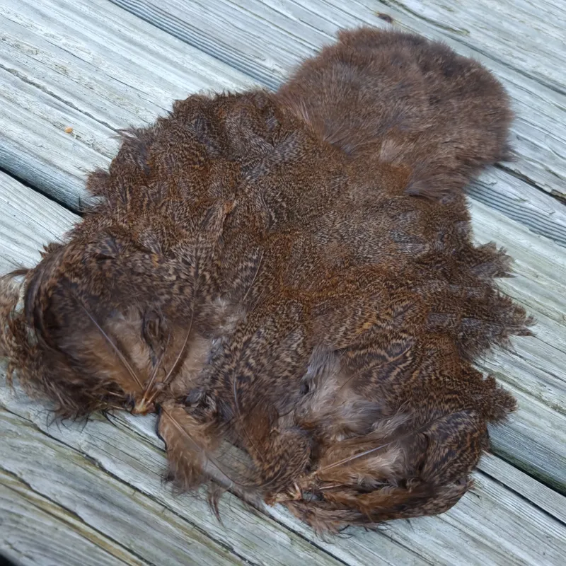 Whiting Coq de Leon Hen Soft Hackle with Chickabou in Speckled Medium Ginger-2