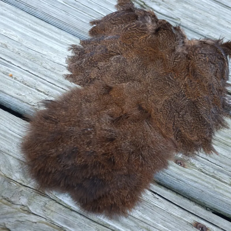 Whiting Coq de Leon Hen Soft Hackle with Chickabou in Speckled Medium Ginger-1