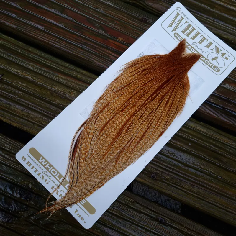 Whiting Heritage Hackles Rooster Cape in Mixed Colours V Medium Barred Ginger