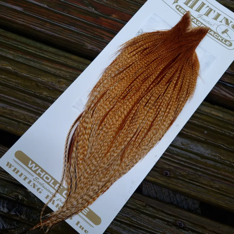 Whiting Heritage Hackles Rooster Cape in Mixed Colours V Medium Barred Ginger-1