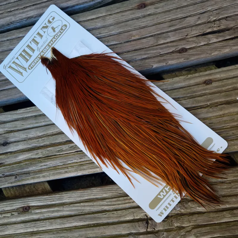 Whiting Heritage Hackles Rooster Cape in Mixed Colours P RED GAME/Furnace-3