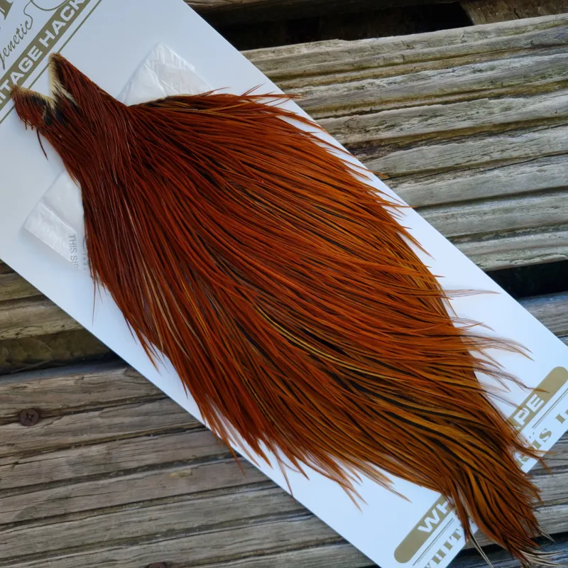 Whiting Heritage Hackles Rooster Cape in Mixed Colours P RED GAME/Furnace-4