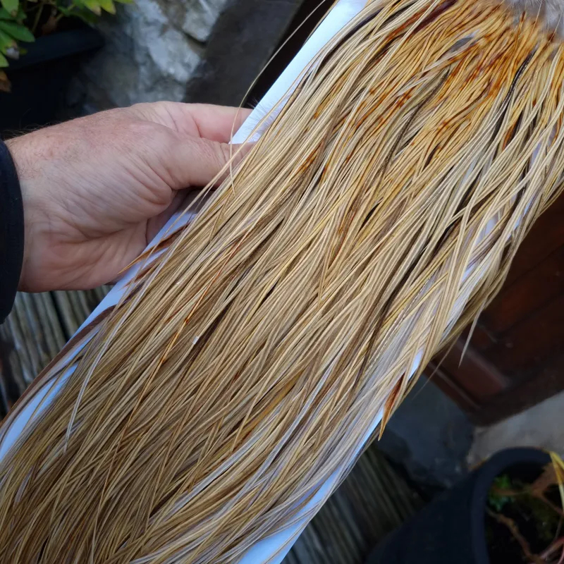 Whiting Heritage Hackles Rooster Saddle in Mixed Colours I Light/Medium and Dark Champagne Badger and  a few Speckled Champagne Badger  Tying Approx. 12/14/16.-3