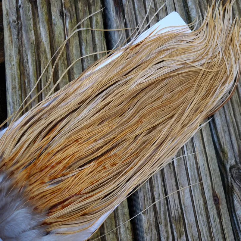 Whiting Heritage Hackles Rooster Saddle in Mixed Colours I Light/Medium and Dark Champagne Badger and  a few Speckled Champagne Badger  Tying Approx. 12/14/16.-2