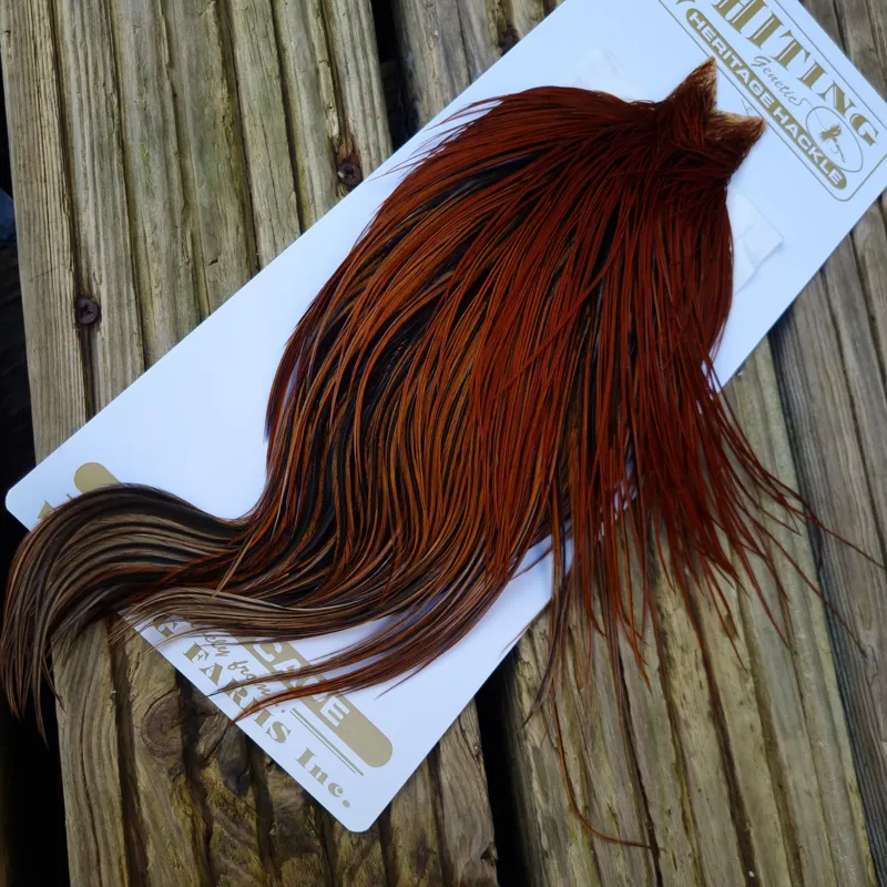 Whiting Heritage Hackles Rooster Cape in Mixed Colours J Medium Red Game/Furnace Hackles-2