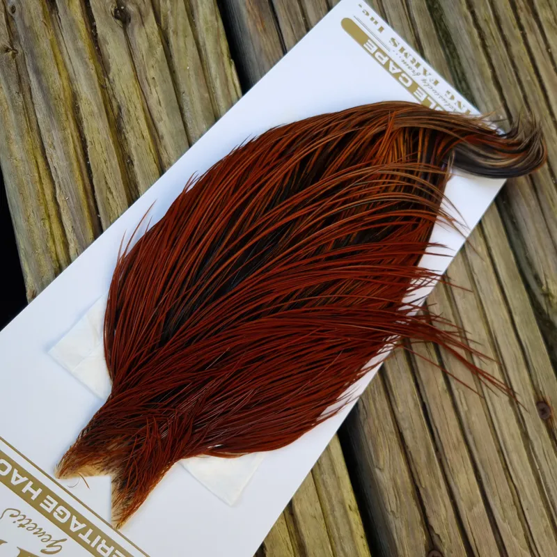 Whiting Heritage Hackles Rooster Cape in Mixed Colours J Medium Red Game/Furnace Hackles-4